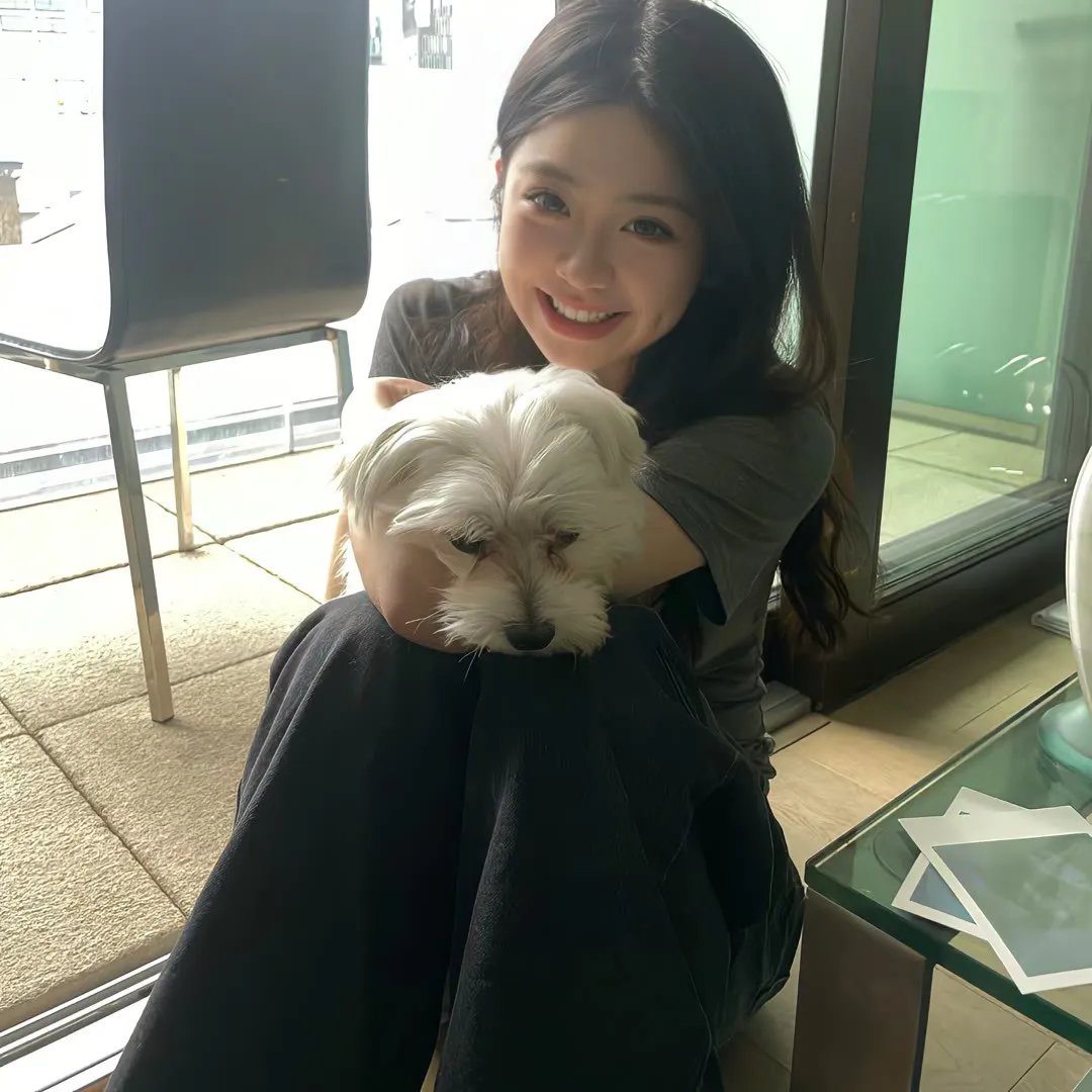 狸老尸卡好海报